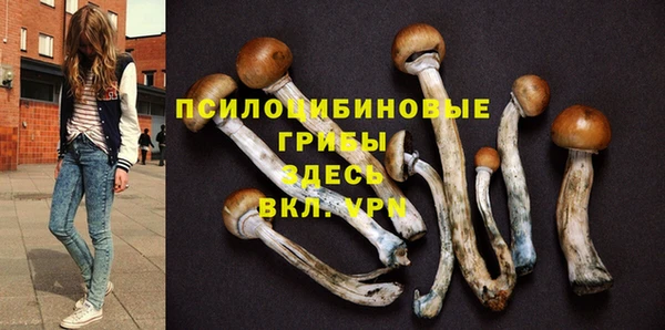 СК Алексин