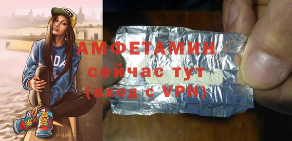 СК Алексин