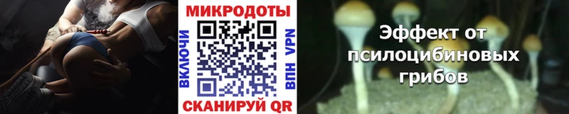 магазин продажи   Славск  Псилоцибиновые грибы ЛСД 